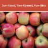 Katsy Style Pink Lady Apples 4 Pack | Naturally Sweet, Crisp & Juicy, Sun-Ripened for Maximum Flavor view 4