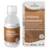 Bandini Liposomal Ashwagandha 250 mg KSM-66 High Strength - Higher Absorption & Bioavailability Reduce Stress, Tiredness & Fatigue - Sleep & Brain Health Support 250 ml Bottle, 25 Portions