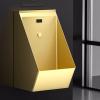 Automatic Sensor Urinal Toilet, 304 Stainless Steel Urinal, Adult Urinal, Urinals for Men Bathroom, Flushing Type Men's Urinal,B view 3