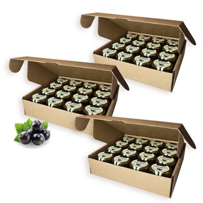 Earthbreath Marmalade - Black Currants & Honey- Pack of 48 100% Raw & Natural Fresh Black Currants No Artificial Additives