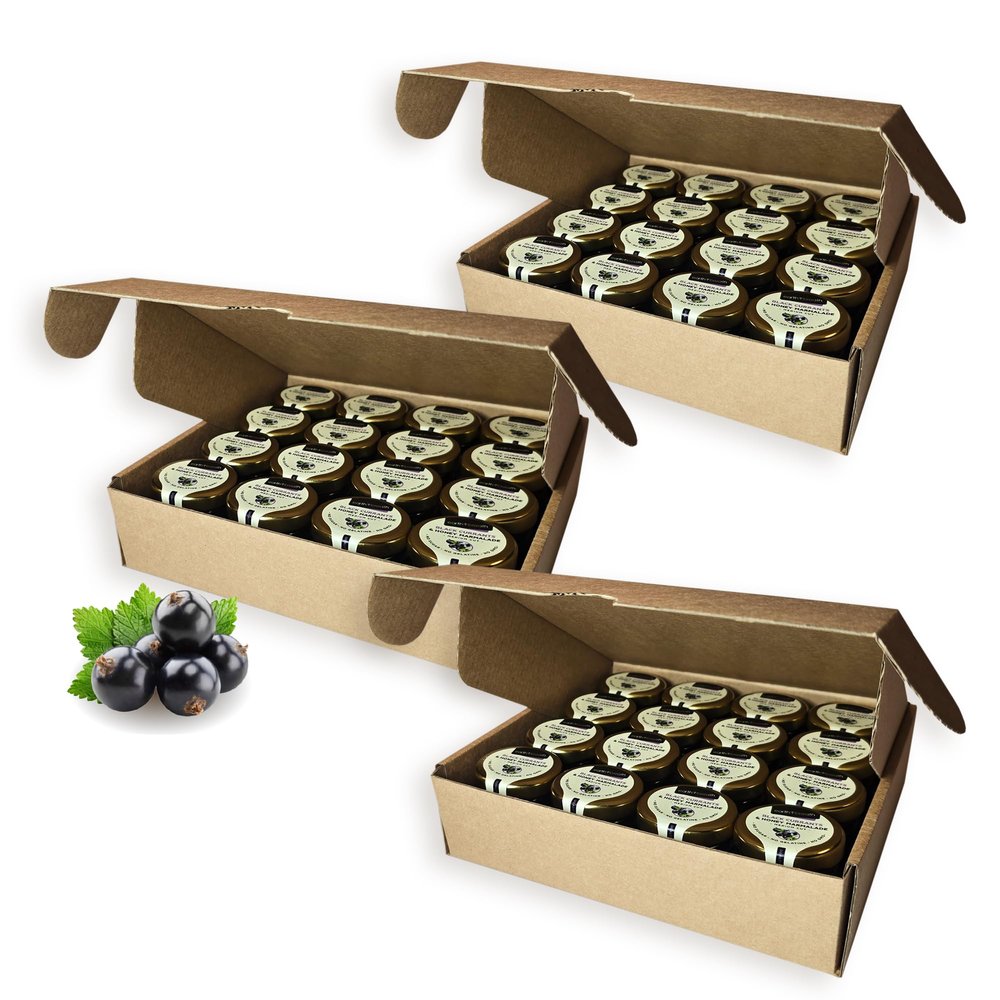 Earthbreath Marmalade - Black Currants & Honey- Pack of 48 100% Raw & Natural Fresh Black Currants No Artificial Additives
