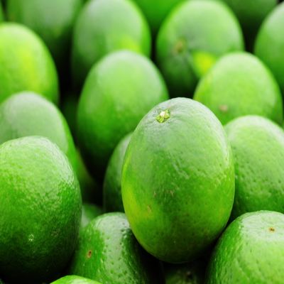 Fresh Green Limes, Pack of 10, Kitchen Essentials for Cooking and Drinks (Box of 10 quaility everyday limes)