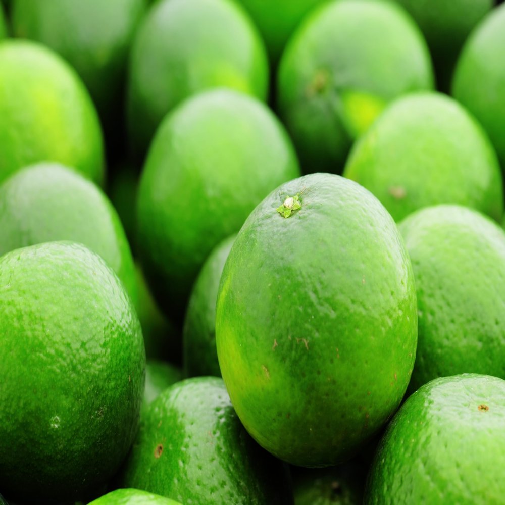 Fresh Green Limes, Pack of 10, Kitchen Essentials for Cooking and Drinks (Box of 10 quaility everyday limes)