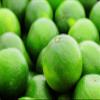 Fresh Green Limes, Pack of 10, Kitchen Essentials for Cooking and Drinks (Box of 10 quaility everyday limes) view 1