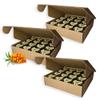 Earthbreath Marmalade - Sea Buckthorn & Honey - Pack of 48 - Multiple Flavours Available - Sugar-Free, Natural - No Gelatine or Artificial Additives - Ideal for Hotels, Restaurants, B&Bs, Events view 1