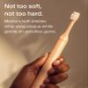 SURI Recyclable Plant-Based, Electric Toothbrush Heads - Built-in Tongue Scraper, Long Lasting Replacement Heads | Compatible Only Sonic Electric Toothbrush - Sunset Bloom, Pack of 3 view 2