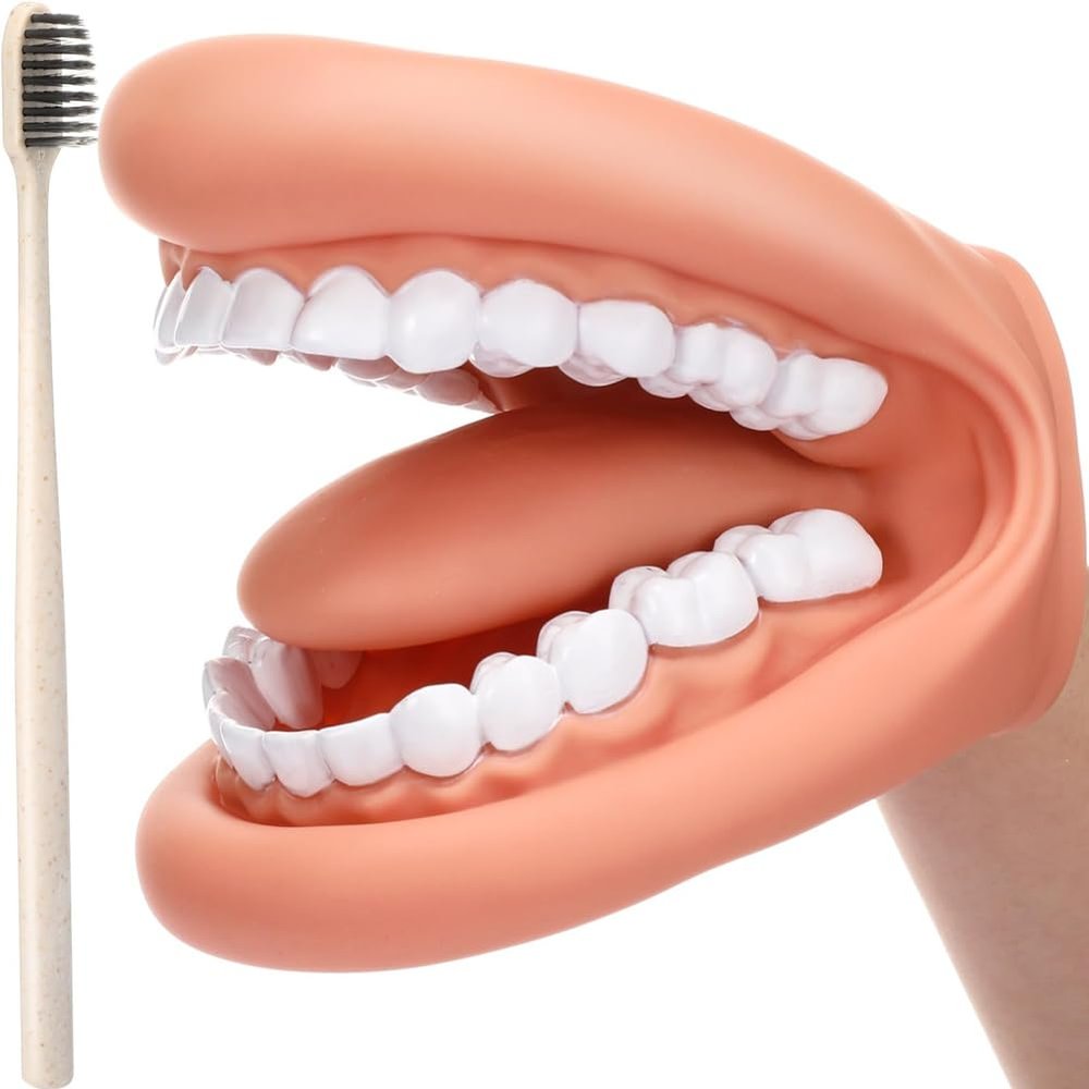 Rtxbvg 1 Piece Mouth Puppet with Tongue Teeth Mouth Hand Puppet Model Dental Mouth with Toothbrush for Boy Girl Educational Tool