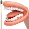 Rtxbvg 1 Piece Mouth Puppet with Tongue Teeth Mouth Hand Puppet Model Dental Mouth with Toothbrush for Boy Girl Educational Tool view 1