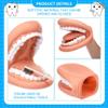 Rtxbvg 1 Piece Mouth Puppet with Tongue Teeth Mouth Hand Puppet Model Dental Mouth with Toothbrush for Boy Girl Educational Tool view 2