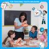 Rtxbvg 1 Piece Mouth Puppet with Tongue Teeth Mouth Hand Puppet Model Dental Mouth with Toothbrush for Boy Girl Educational Tool view 3