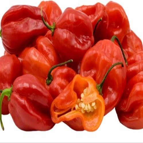 Fresh Red Scotch Bonnet Pepper I Hot & Flavorful I Authentic Caribbean Heat I 500G