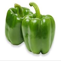 Fresh Green Bell Peppers I Crisp & Sweet I Pack of 2