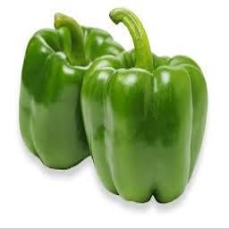 Fresh Green Bell Peppers I Crisp & Sweet I Pack of 2
