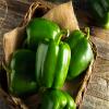 Fresh Green Bell Peppers I Crisp & Sweet I Pack of 2 view 4