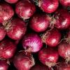 Fresh Red Onion Bag 4kG | Premium Quality, Sweet & Mild Flavor | Pack of 2 view 2