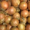 Fresh Dutch Onion Bag 4KG I Premium Quality, Crisp & Flavorful Onions I Pack of 2 view 4