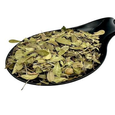 Bearberry Dried Leaves Loose Herbal Tea 20g-4.9kg Arctostaphylos Uva-Ursi (20 Grams)