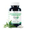 Alzuro Labs Andrographis Paniculata 8,000mg Eq - 120 Vegan Capsules | Botanical Support for Immune & Liver Wellness | 20:1 Kalmegh Extract (10% Andrographolides) | GMP & Lab Tested | 4 Months Supply
