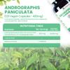 Alzuro Labs Andrographis Paniculata 8,000mg Eq - 120 Vegan Capsules | Botanical Support for Immune & Liver Wellness | 20:1 Kalmegh Extract (10% Andrographolides) | GMP & Lab Tested | 4 Months Supply view 3