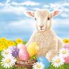 20 Napkins Easter Lamb on Easter Basket as Table Decoration Paper Napkins with Motif Also for Decoupage and Decoupage 33 x 33 cm view 1