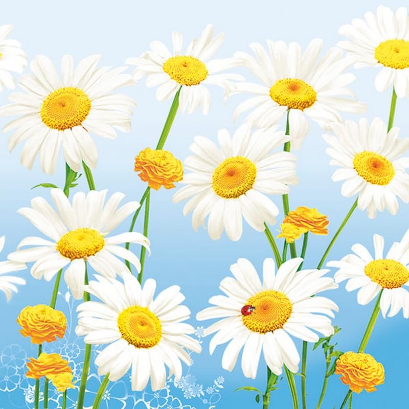 20 Napkins Flowers Lovely Daisies on Blue Table Decoration Paper Napkins with Motif Also for Decoupage and Decoupage 33 x 33 cm
