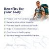 Omega 3 TG, Trans-Resveratrol - SmartAbsorb | for Brain Function, Nervous System & antioxidant Support | 56 Daily sachets view 3