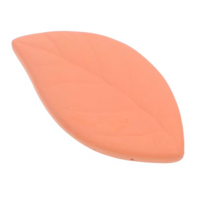 BIUDECO Reusable Leaf-shaped Terracotta Softening Disk for Food Storage Moisture Absorber for Keeping Preservation Tool