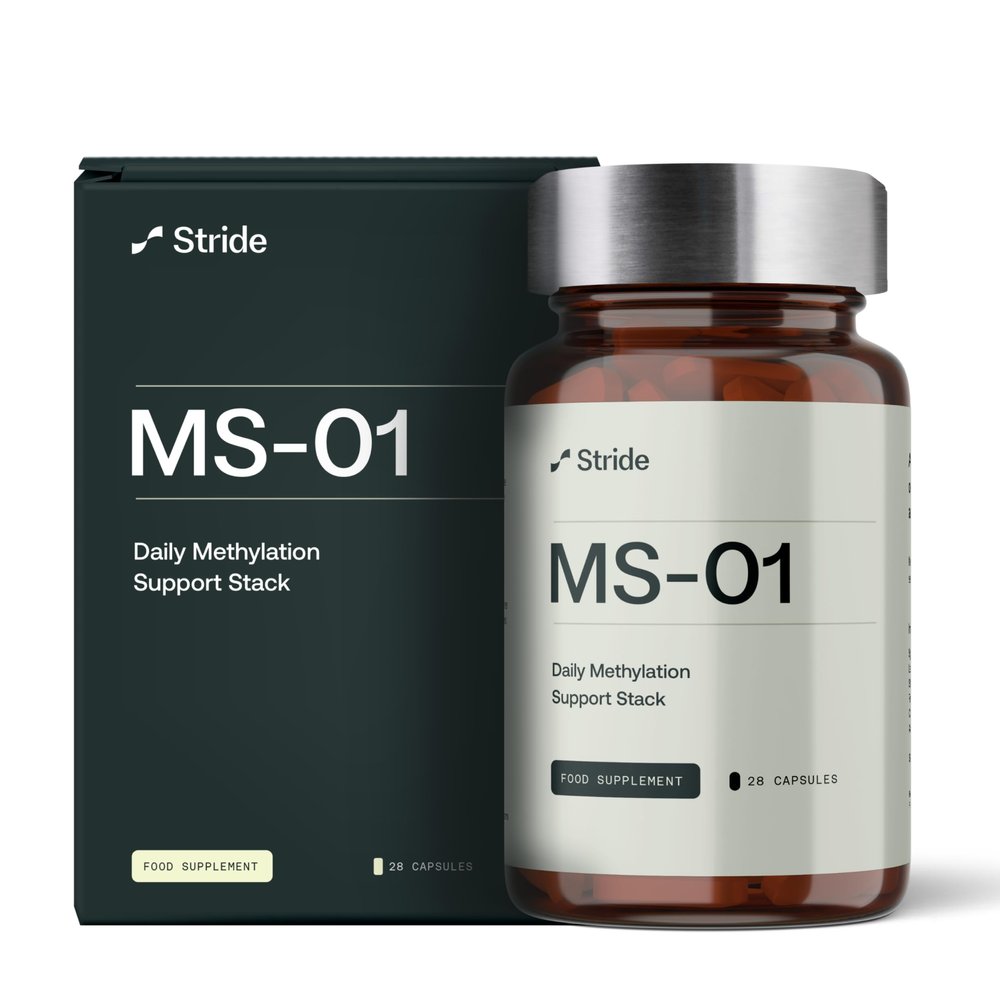 Stride MS-01 Methylated B-Complex | Active B6, Methylfolate (B9), B12, TMG & Vitamin C | Methylation Support | Energy, Detox, Homocysteine & Cellular Support | 28 Vegan Capsules