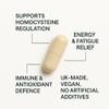 Stride MS-01 Methylated B-Complex | Active B6, Methylfolate (B9), B12, TMG & Vitamin C | Methylation Support | Energy, Detox, Homocysteine & Cellular Support | 28 Vegan Capsules view 3