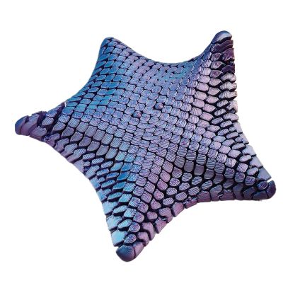 Starfget Starfget Fidget Toy-Sensory Sensory Fidget Toy,Multi-Trip Fidget Toy,Star Toy