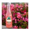 Jarittos Mango,Strawberry,Guava,Grapefruit,Lime,Pineapple,Mandarin,Mexican Natural Fruit Flavoured Soda Bottles 370ml (4 x Bottles, Guava Soda 370ml)