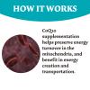 CoQ10 Gummies 300mg High Absorption - Raspberry Flavored - Non-GMO - Gluten-Free - 60 Counts Coenzyme Q10 Gummies view 4