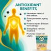 NutraCore R-Alpha Lipoic Acid 550mg | Alpha Lipoic Acid | 90 Vegan Caps view 3