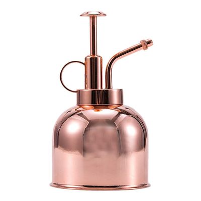Ldabrye Watering Bottle Stainless Steel Misting Can Garden Plant Tool