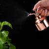 Ldabrye Watering Bottle Stainless Steel Misting Can Garden Plant Tool view 3