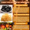 3 in 1 Shilajit Gummies, Pure Shilajit Gummies,ShilajitGummies for Men,ShilajitSupplement,Supports Natural Energy,30 Day Supply Per Bottle (2) view 3