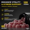 Fraction One Ashwagandha Gummies - 120 Gummies - 300 mg per Serving Enhanced with Vitamin D2 & B6 - High Strength Root Extract - Supports Stress & Energy - Berry - Vegan Friendly - 60 Days Supply view 2