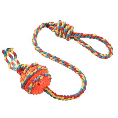 Chewing Dog Toys - Puppy Teething Toys for Entertainment | Tough Pet Training Teeth Cleaning Accessories for Lovers, Families