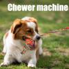 Chewing Dog Toys - Puppy Teething Toys for Entertainment | Tough Pet Training Teeth Cleaning Accessories for Lovers, Families view 2