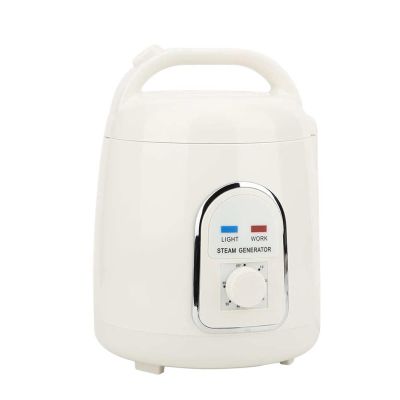 EDEDE Sauna Heater, 1.5L Explosion-proof Saunas Spa, 850W nerators Devices Steaming Pot Machines, Electric Eator Tools Keep Health Lose Weight for Home Sauna SPA