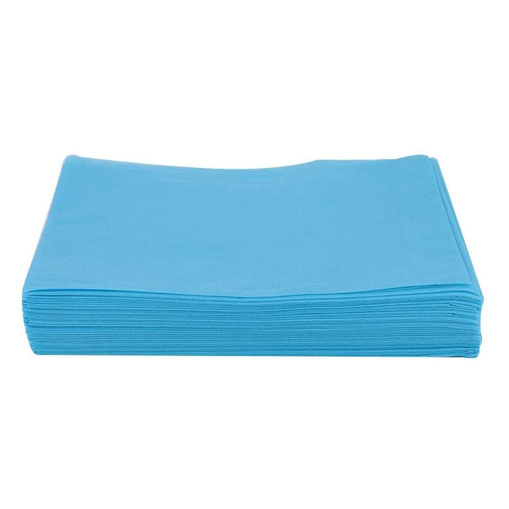 100pcs Disposable Table Covers with Hole Beauty Salon Tattoo Hotels Blue Beauty Couch Cover Sheets Disposable Couch Cover for Cosmetic Bed Sheet Covers