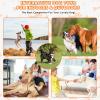 Dog Toys for Aggressive Chewer Puppy hewer's Delight Teething Toys view 3