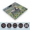 Donkey and Flower Scale for Body Weight Highly Accurate Digital Bathroom Body Scale Digital Body Weight Scale Tempered Glass LCD Display Batteries and Tape Measure view 3