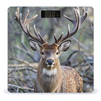 Antlers Scale for Body Weight Highly Accurate Digital Bathroom Body Scale Digital Body Weight Scale Tempered Glass LCD Display Batteries and Tape Measure