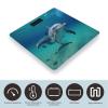 Dolphins Underwater Scale for Body Weight Highly Accurate Digital Bathroom Body Scale Digital Body Weight Scale Tempered Glass LCD Display Batteries and Tape Measure view 3
