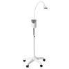 Cold Light Teeth Whitening Machine Portable Appliance Home Equipment Kits Led Lamp Whitener Kit Cordless Device Dental Mobile Bleaching Accelerator Tools Display Tooth Tool for Cleaning Smoky