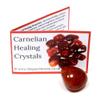 Carnelian Polished Tumblestone Healing Crystals Crystal Only view 2
