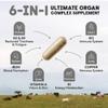 Nutriest 6-in-1 Ultimate Organ Complex (240 Capsules) Halal Beef Organ Supplement | Organic Grass-Fed Beef from Europe | Energy, Immune System & Vitality view 3
