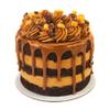 Chocolate & Caramel Bento Cake - 5inch | Limited Edition Bento | Indulgent Cake With 4-6 Portions | Sponge With Caramel Buttercream| Handcrafted By Bakerdays view 1