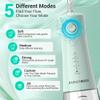 BarberBoss Water Flosser, Cordless Electric Tooth Flosser, 5 Pressure Modes, IPX8 Waterproof Dental Flosser, Portable Oral Irrigator for Gum Care, Teeth Cleaning kit (Pastel Green) view 4